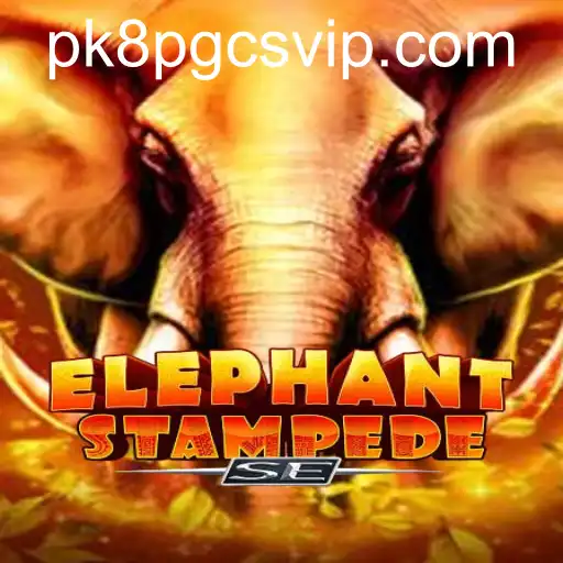 ElephantStampedeSE